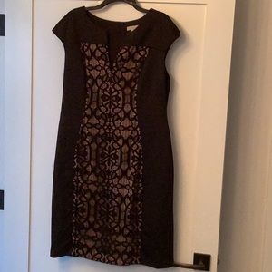 Dress Barn Dress 🖤